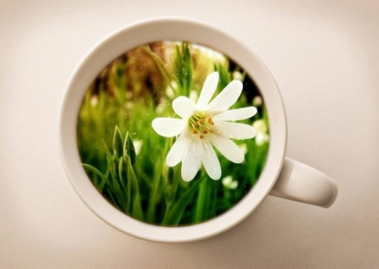 DEATH BEFORE DECAF - WHAT’S IN YOUR CUP?